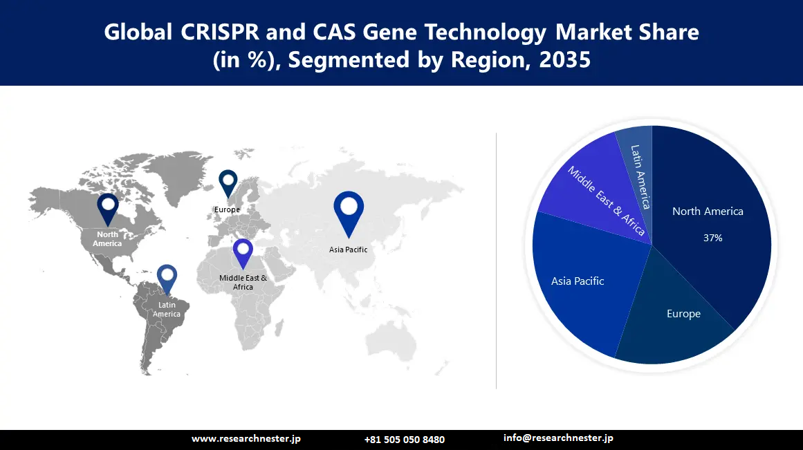 CRISPR and CAS Gene Technology Market Size (1)
